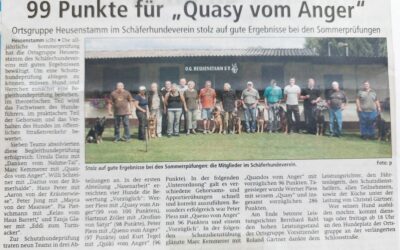 Sommerprüfung 2011