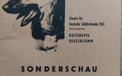Sonderschau