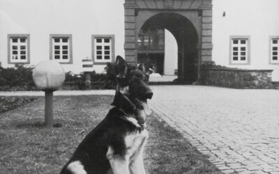 Jüngsten und Sonderschau am 18. und 19. März