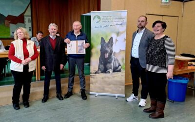 Goldene Ehrennadel für besondere Verdienste