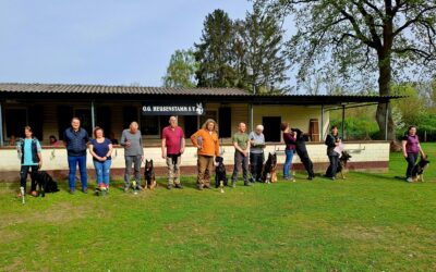 Frühjahrsprüfung bei strahlendem Sonnenschein