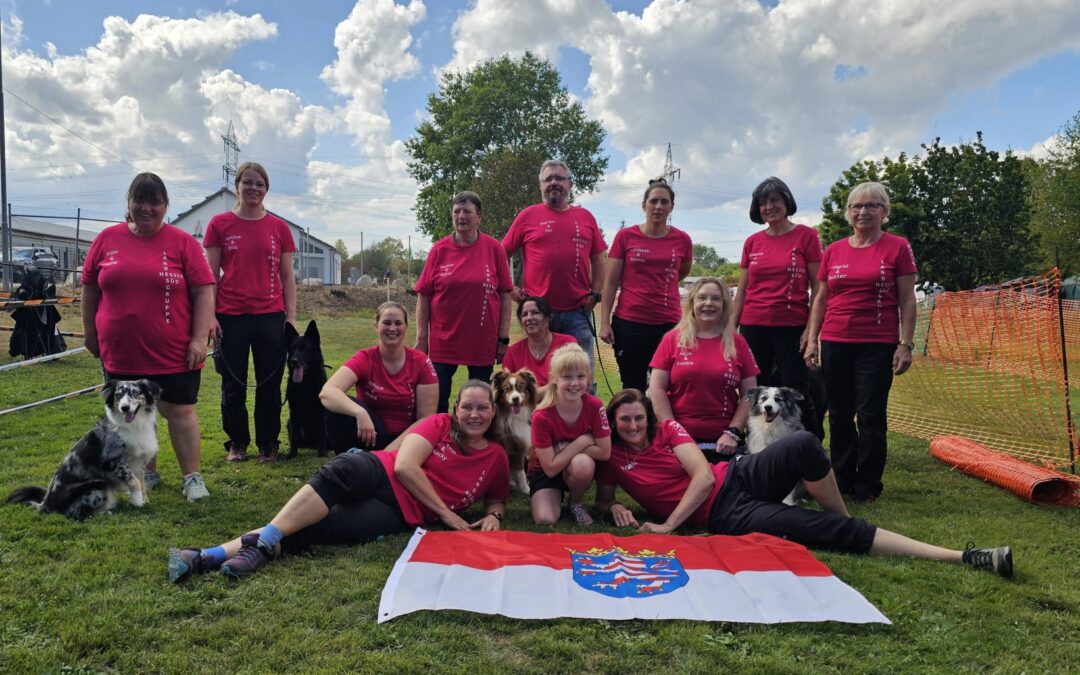 Felice startet bei der SV Rally Obedience Meisterschaft 2026