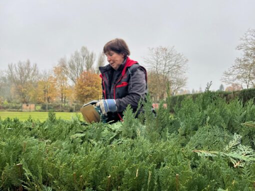 Arbeitsdienst an der Hecke