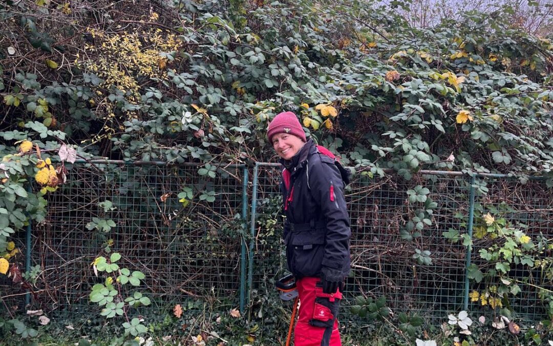 Arbeitsdienst: Kampf den Brombeeren