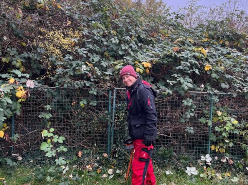 Arbeitsdienst: Kampf den Brombeeren