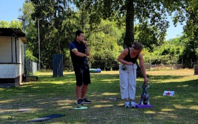 Rally-Obedience-Seminar mit Jonas Stübing – Ein Tag voller Wissen, Teamarbeit und Motivation