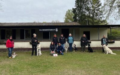 Erfolgreiches Seminar Rally-Obedience in der OG Heusenstamm