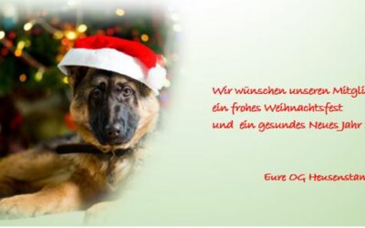 Weihnachtsgruß 2022
